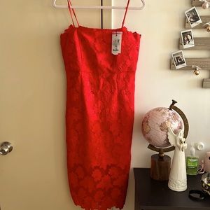 Bardot red lace dress